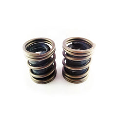 1994-1998 5.9L 12 Valve P-Pump Competition Governor Spring Set