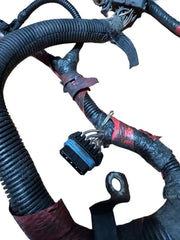 1994-1997 7.3 Engine wire Harness