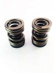 1994-1998 Dodge 24V P-Pump 3,000 and 4,000 RPM Governor Spring Kit