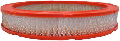 Ford Mustang Air Filter