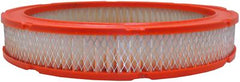 Ford Mustang Air Filter