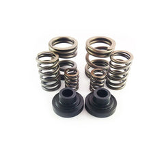 1994-1998 Dodge 24V P-Pump 3,000 and 4,000 RPM Governor Spring Kit
